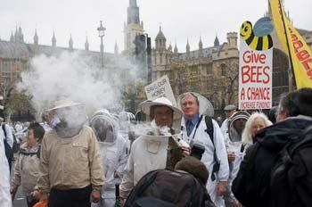 Peter: la manifestazione degli apicoltori il 5 novembre 2008, davanti al Parlamento inglese